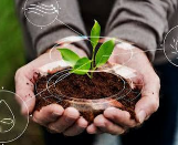 Agriculture